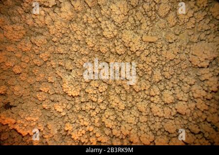 Inside a cave with calcium carbonate rock formation with stalactites ...