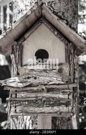 brown wooden birdhouse hanging from tree. Blured background Stock Photo