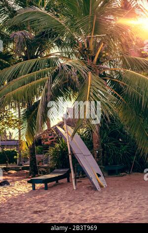 Surfboards set vertically with their elbows resting on a wooden stand in the sand at a surf station in Sri Lanka Hikkaduwa Stock Photo