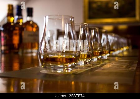 A line of tasting glasses filled with different types of Whiskies for tasting, with the focus on the second glass, the rest is out of focus Stock Photo