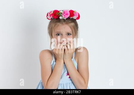 Closeup portrait young little girl biting her finger nails, looking at you with fear of something, anxious, isolated white grey background. Facial exp Stock Photo