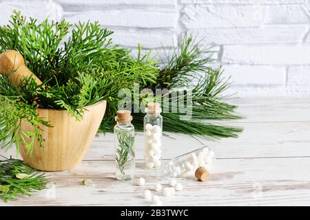 Thuja herbal pills and fresh branches of thuja in bamboo mortar bowl. Bottles of homeopathic globules. Homeopathy medicine concept. Stock Photo