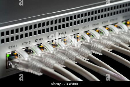 White network cables connected to a switch. Selective focus Stock Photo