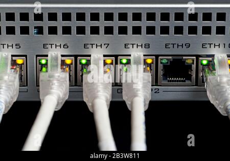 White network cables connected to a switch. Selective focus Stock Photo