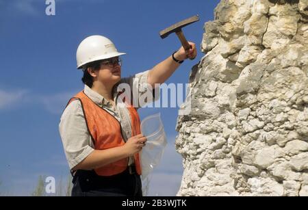 Austin, Texas USA: Hispanic female geologist taking rock samples from road cut. MR ©Bob Daemmrich Stock Photo