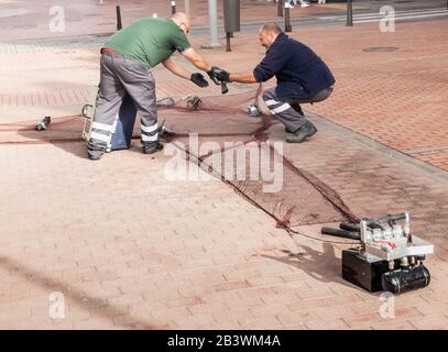 Local authority (council) workers catching feral pigeons with net attached to weights launched from pistons using compressed air. Stock Photo