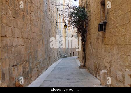 Beautiful narrow alley in Malta with limestone walls Stock Photo