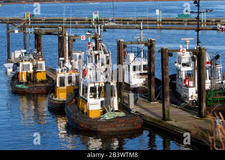 Colourful moored tug boats/boom boats in Nanaimo Harbour, Vancouver Island, BC, Canada Stock Photo