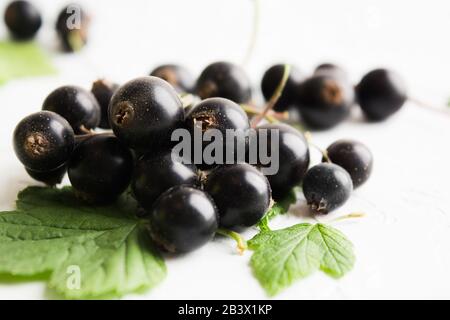 Closeup view of black currant berries with leaves on white textured background. Soft focus Stock Photo