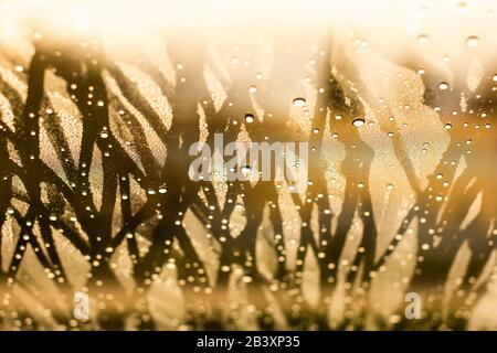 Drops of the water on a misted glass of a car. Water drops background. Stock Photo