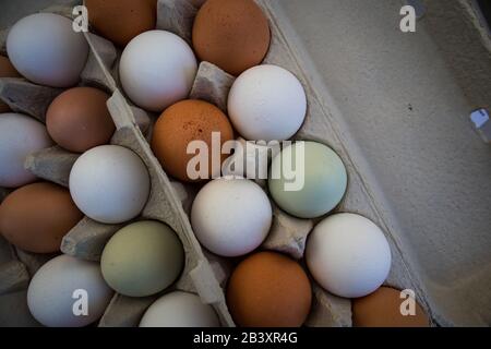 Farm Fresh Carton of Brown White and Green Eggs at Market Stock Photo