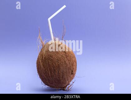 Whole coconut with white straw on purple background. Stock Photo