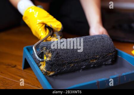 painter dips roller in a tray with paint. redecoration in the house, office. Stock Photo