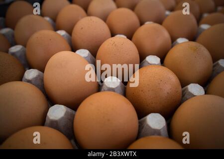 Farm Fresh Carton of Brown Eggs at Market Stock Photo
