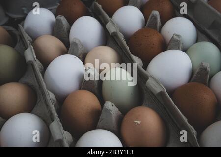 Farm Fresh Carton of Brown White and Green Eggs at Market Stock Photo