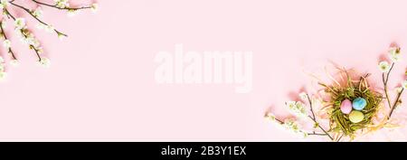 Stylish background with colorful easter eggs isolated on pink pastel background with blooming cherry branches. Horizontal long banner for web design Stock Photo
