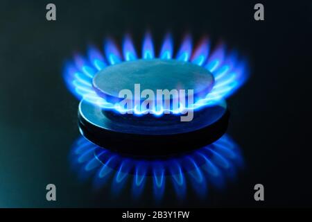 The gas is burning, the gas-stove burner, the hob in the kitchen, close-up. The concept of problems with natural gas, rising gas prices. Stock Photo