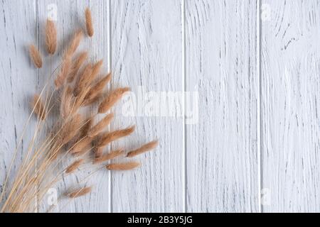 Dry flowers, dry spikelets on a light wooden background. View from above. Frame for text, stocks with dry flowers. Stock Photo