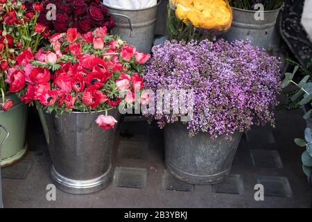 A variety of colors near the Liberty store in London. Large bouquets in tin vases. Pink roses Stock Photo