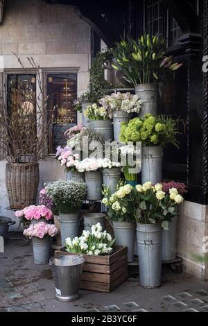 A variety of colors near the Liberty store in London. Large bouquets in tin vases. Pink roses Stock Photo