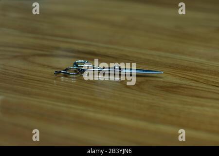 Hairdressing scissors. Professional haircut scissors isolated on wooden background. Silver metal, stainless steel scissors. Stock Photo