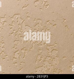The plaster is a matte sandy texture rough in the hollows and with a smooth top level. Stock Photo