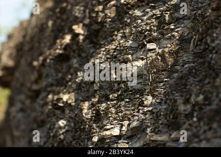 Abstract texture. Mysterious stranger background. Stone wall. Rock texture. Stone background. Cracked lava surface. Rock surface with cracks. Stock Photo