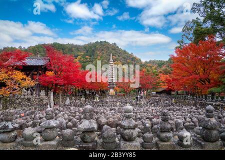 Stone statues marking graves in Adashino Nenbutsuji Temple on the outskirts of Arashiyama with red, yellow maple carpet at peak fall foliage color dur Stock Photo