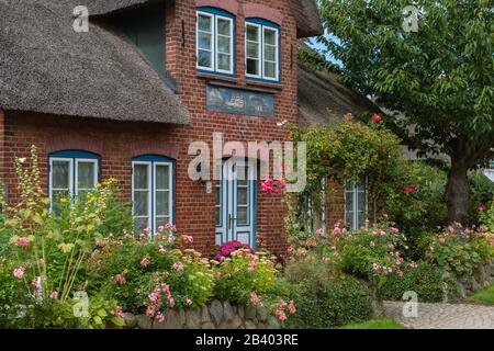 Community of Nebel, North Sea island of Amrum, North Frisia, Schleswig-Holstein, North Germany, Europe Stock Photo