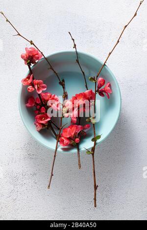 Spring table setting with flowering branches. empty plates. advertising. menu Stock Photo
