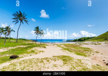 Panoramic view of tropical palm-fringed Anakena Beach and its sandy bay, on the north coast of Easter Island (Rapa Nui), Chile Stock Photo