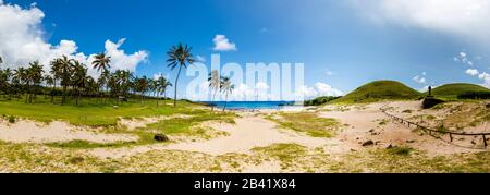 Panoramic view of tropical palm-fringed Anakena Beach and its sandy bay, on the north coast of Easter Island (Rapa Nui), Chile Stock Photo