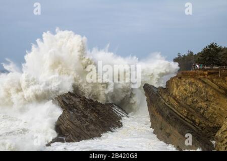 Shore Acres State Park, Coos Bay, Oregon USA Stock Photo