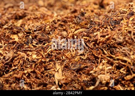 Rolling tobacco leaves macro background stock photography high quality Stock Photo