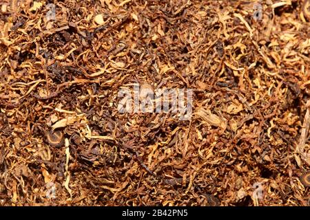 Rolling tobacco leaves macro background stock photography high quality Stock Photo