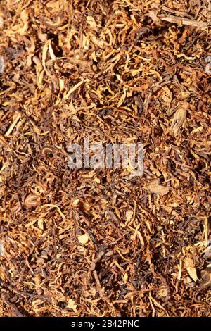 Rolling tobacco leaves macro background stock photography high quality Stock Photo