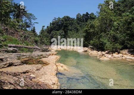 Scenic view of a clear river flowing through a forest in the Philippines. Stock Photo