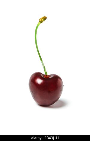 Berry of ripe sweet cherry isolated on white Stock Photo