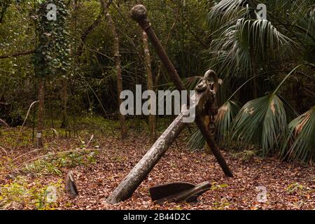 Old anchor in the forest covered by leafs in the ground. Stock Photo