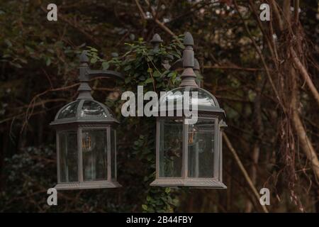 A pair of rustic backyard lamps hung on a tree. Stock Photo