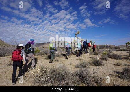 Friends, Shared Interests, Hiking and Adventure in Joshua Tree National Park, CA Stock Photo