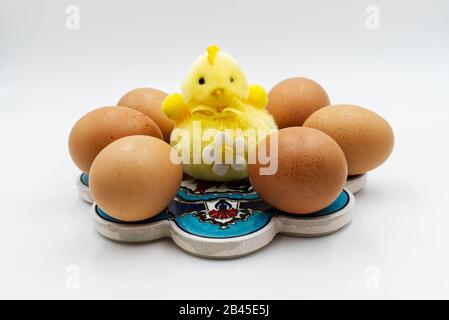 Easter yellow chick with eggs isolated on white background. Easter decoration Stock Photo