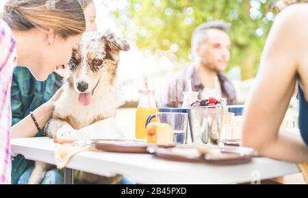 Happy friends doing breakfast brunch meal in nature with home pet - Young people having fun with dog in weekend day eating fruits and drinking smoothi Stock Photo