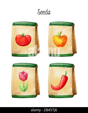 Four craft packaging for seeds. Hand painted watercolor elements isolated on white background. Stock Photo