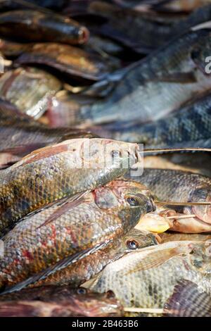 A February 9, 2020 image of fish on sale at Nampan market, Inle lake, Myanmar Stock Photo