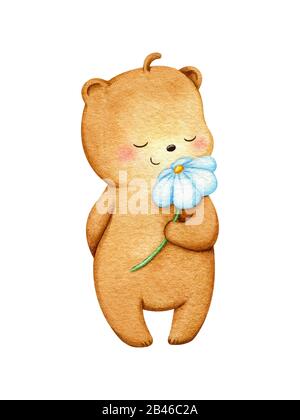 Bear character standing and smelling a white flower. Cute girly grizzly illustration hand painted in watercolor. For children prints, postcard design, Stock Photo