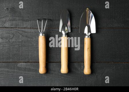 Gardening tools on wooden background, top view Stock Photo