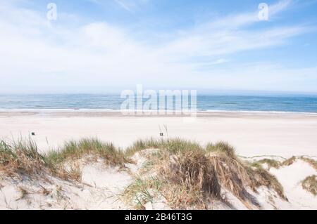 Beautiful coastline of Blaavand, Denmark in the summer Stock Photo