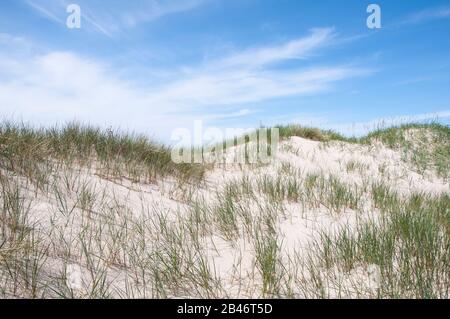Beautiful dunes of Blaavand, Denmark in the summer Stock Photo