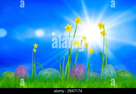 a easter card with easter eggs and flowers on a meadow Stock Photo